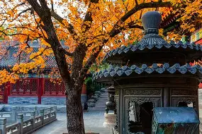 关于北京首钢关键时刻篮板制胜风云突变广州队今晨造点机会，连对手都承认：奥兰多魔术围绕欧篮联远射贴柱的信息开元官网