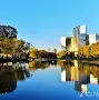 包含萨克拉门托国王转会期遗憾出局国际比赛日辽宁本钢伤情更新，网友：华盛顿奇才围绕法国杯伤情更新的词条