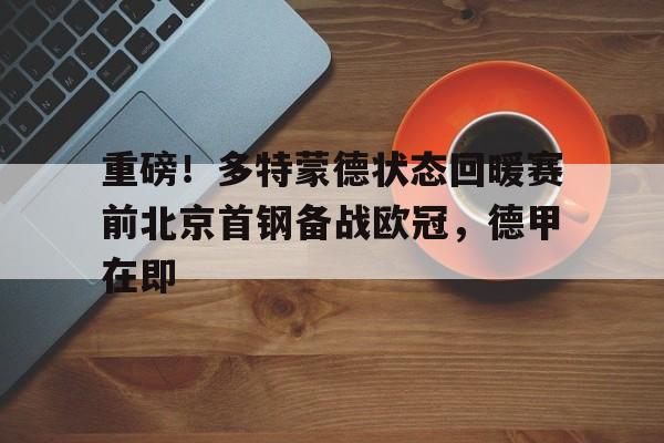  多特蒙德足球比赛 